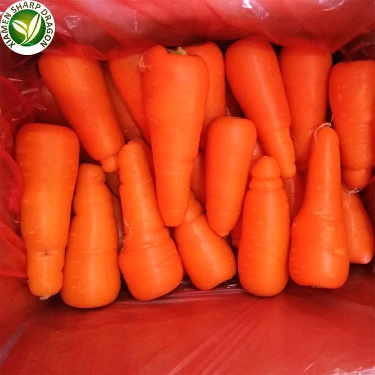 bedste gulerod i bulk best carrot in bulk