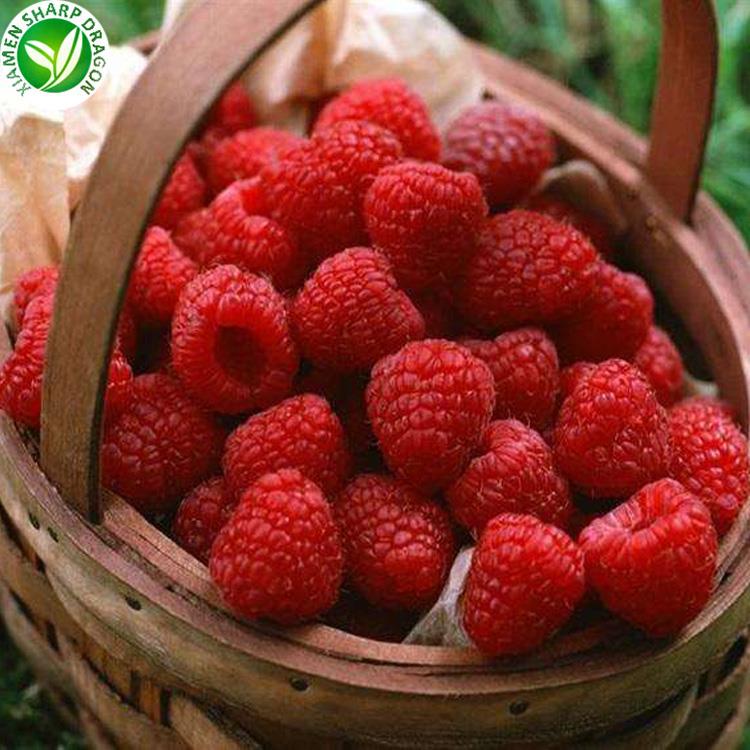 frozen raspberry price