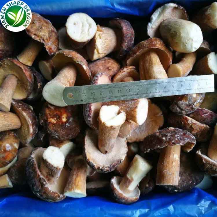 porcini mushrooms