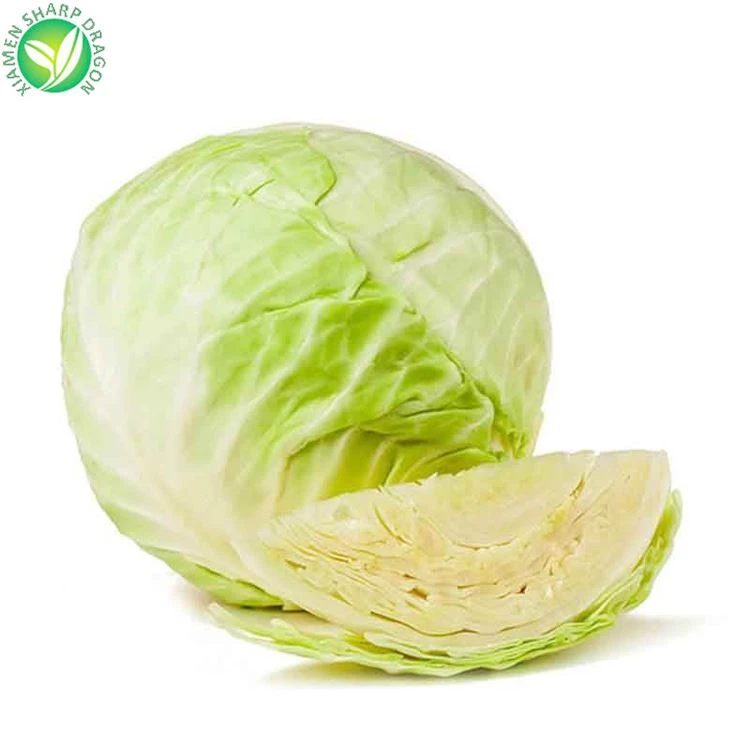 Wholesale fresh cabbage prices
