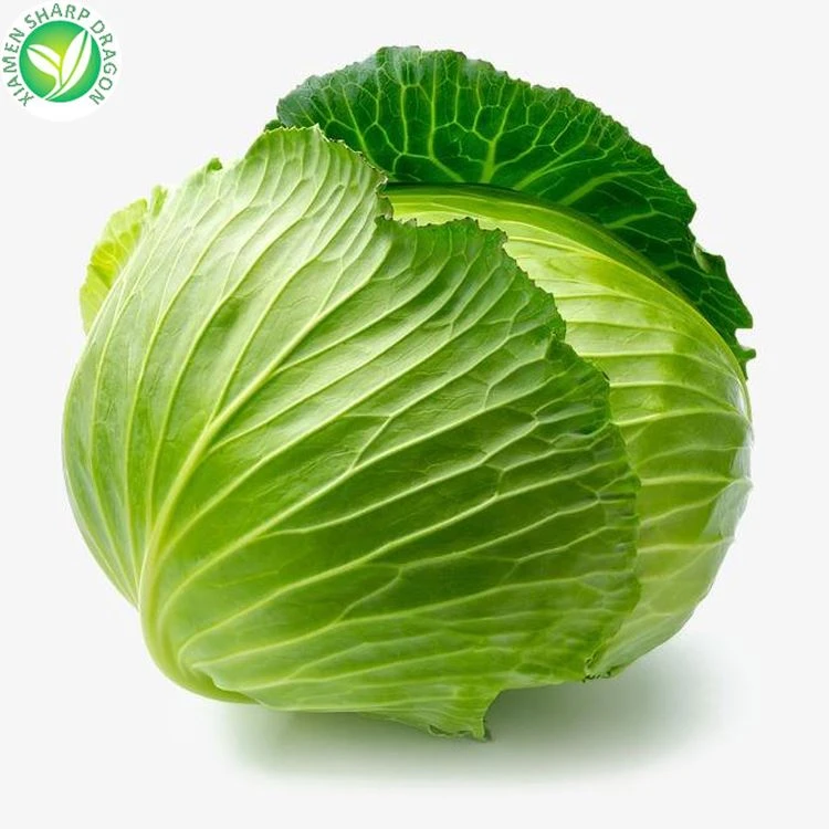Cabbage in bulk