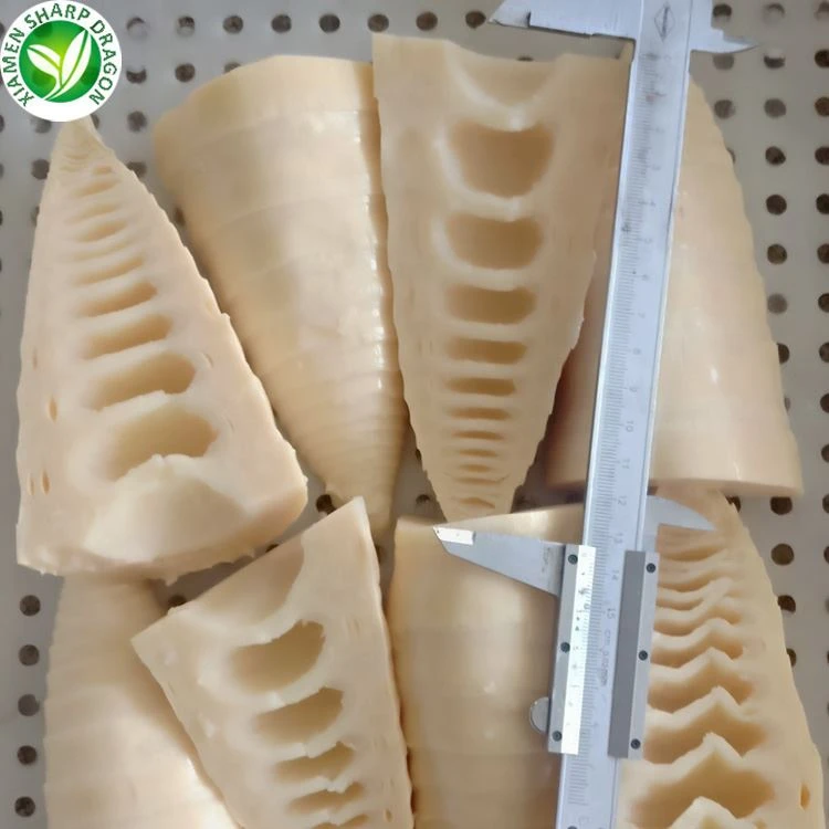 Bamboo shoots cut in half