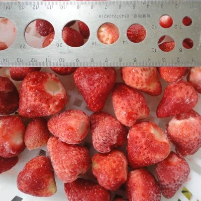 do strawberry seeds need to be frozen do strawberry seeds need to be frozen