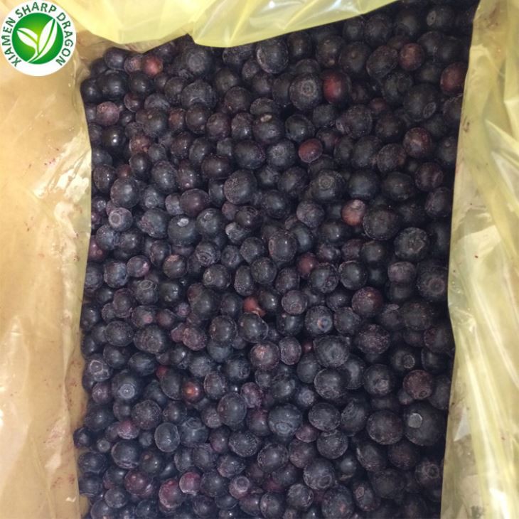 Frosne solbær til salg