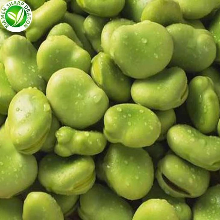 Frozen Green Broad Beans