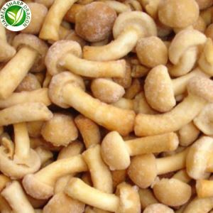 Nameko Svampe Pris