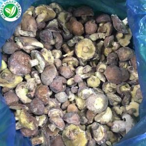Suillus Granulatus Madlavning