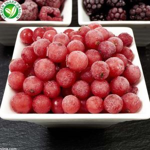 Engros frosset lingonberry