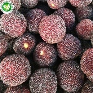 nedsatte Bayberry