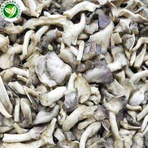 Vakuum Fried Champignon chips til salg