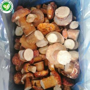 Engrospris Frossen Boletus
