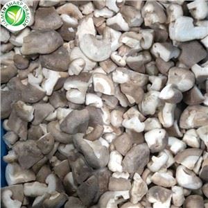 Shitake Svampe Tørret Shiitake